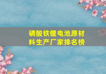 磷酸铁锂电池原材料生产厂家排名榜