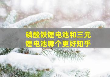 磷酸铁锂电池和三元锂电池哪个更好知乎