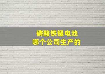 磷酸铁锂电池哪个公司生产的