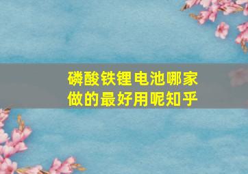 磷酸铁锂电池哪家做的最好用呢知乎