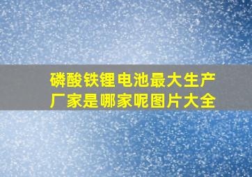 磷酸铁锂电池最大生产厂家是哪家呢图片大全