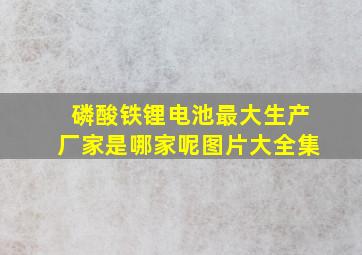 磷酸铁锂电池最大生产厂家是哪家呢图片大全集