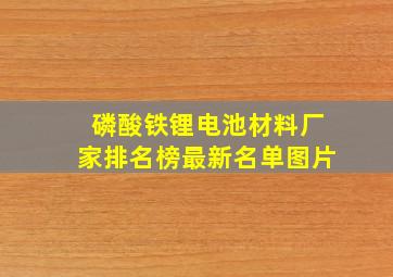 磷酸铁锂电池材料厂家排名榜最新名单图片