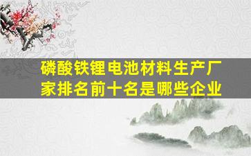 磷酸铁锂电池材料生产厂家排名前十名是哪些企业