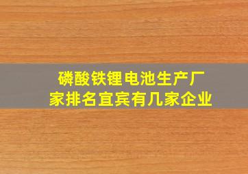 磷酸铁锂电池生产厂家排名宜宾有几家企业