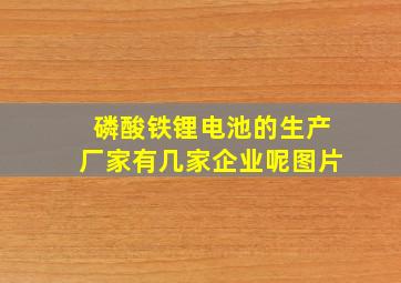 磷酸铁锂电池的生产厂家有几家企业呢图片