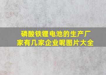 磷酸铁锂电池的生产厂家有几家企业呢图片大全