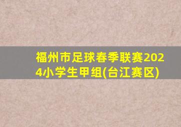 福州市足球春季联赛2024小学生甲组(台江赛区)