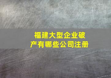 福建大型企业破产有哪些公司注册