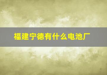 福建宁德有什么电池厂