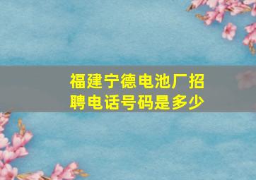 福建宁德电池厂招聘电话号码是多少