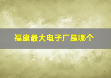 福建最大电子厂是哪个