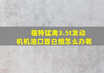 福特猛禽3.5t发动机机油口冒白烟怎么办呢