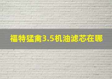 福特猛禽3.5机油滤芯在哪