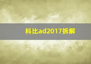 科比ad2017拆解