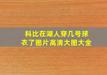 科比在湖人穿几号球衣了图片高清大图大全