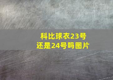 科比球衣23号还是24号吗图片