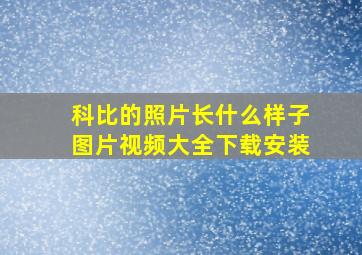 科比的照片长什么样子图片视频大全下载安装