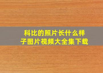 科比的照片长什么样子图片视频大全集下载