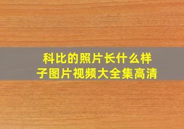 科比的照片长什么样子图片视频大全集高清