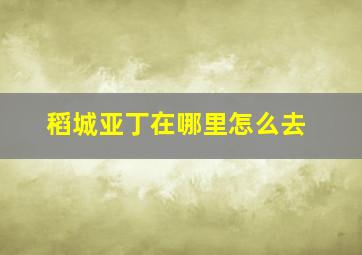 稻城亚丁在哪里怎么去