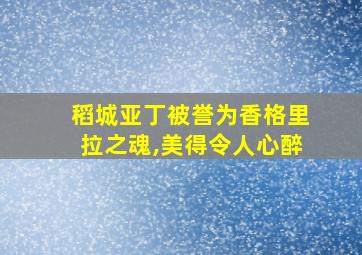 稻城亚丁被誉为香格里拉之魂,美得令人心醉