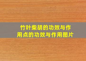 竹叶柴胡的功效与作用点的功效与作用图片