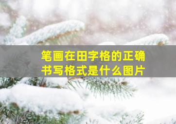 笔画在田字格的正确书写格式是什么图片