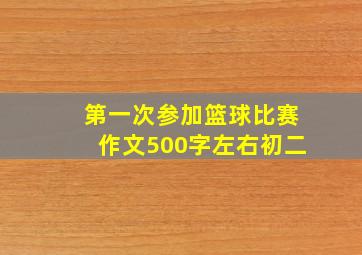 第一次参加篮球比赛作文500字左右初二