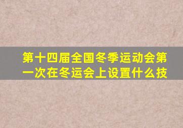 第十四届全国冬季运动会第一次在冬运会上设置什么技