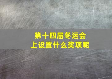 第十四届冬运会上设置什么奖项呢