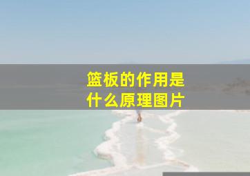 篮板的作用是什么原理图片