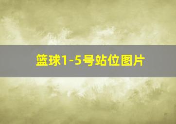 篮球1-5号站位图片