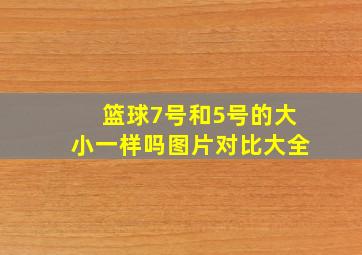 篮球7号和5号的大小一样吗图片对比大全