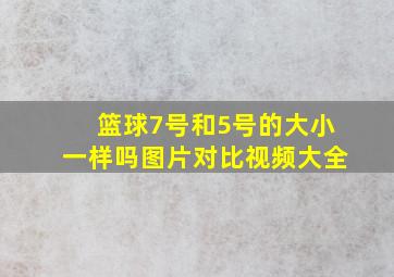 篮球7号和5号的大小一样吗图片对比视频大全