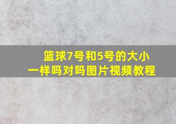 篮球7号和5号的大小一样吗对吗图片视频教程