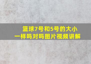 篮球7号和5号的大小一样吗对吗图片视频讲解