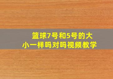 篮球7号和5号的大小一样吗对吗视频教学