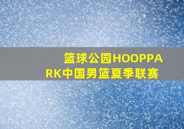 篮球公园HOOPPARK中国男篮夏季联赛