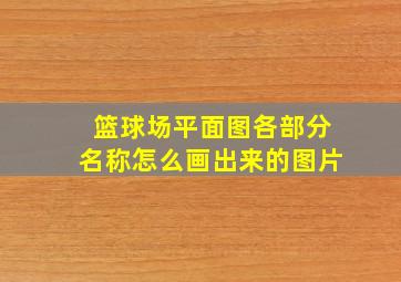 篮球场平面图各部分名称怎么画出来的图片