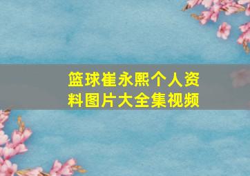 篮球崔永熙个人资料图片大全集视频