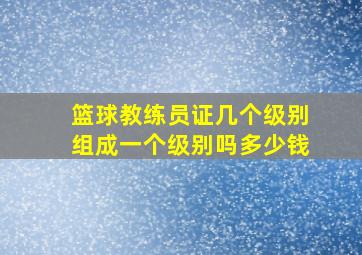 篮球教练员证几个级别组成一个级别吗多少钱