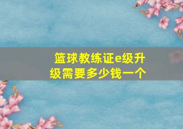 篮球教练证e级升级需要多少钱一个