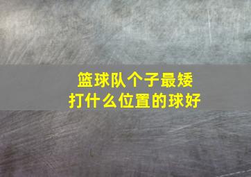 篮球队个子最矮打什么位置的球好