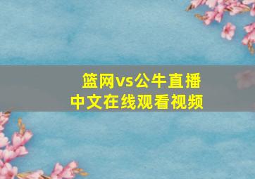 篮网vs公牛直播中文在线观看视频