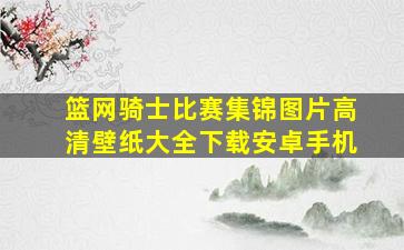 篮网骑士比赛集锦图片高清壁纸大全下载安卓手机