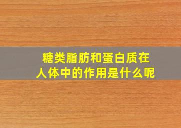 糖类脂肪和蛋白质在人体中的作用是什么呢