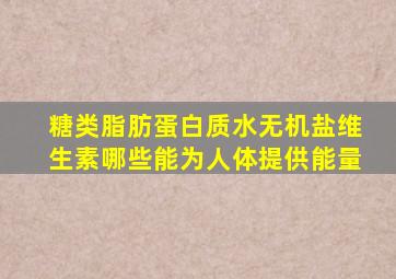 糖类脂肪蛋白质水无机盐维生素哪些能为人体提供能量