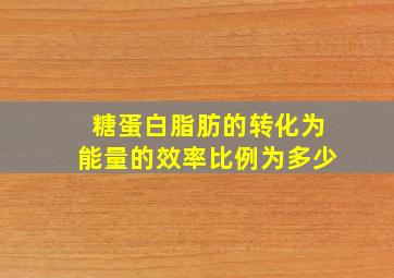 糖蛋白脂肪的转化为能量的效率比例为多少