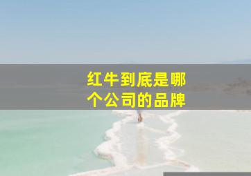 红牛到底是哪个公司的品牌